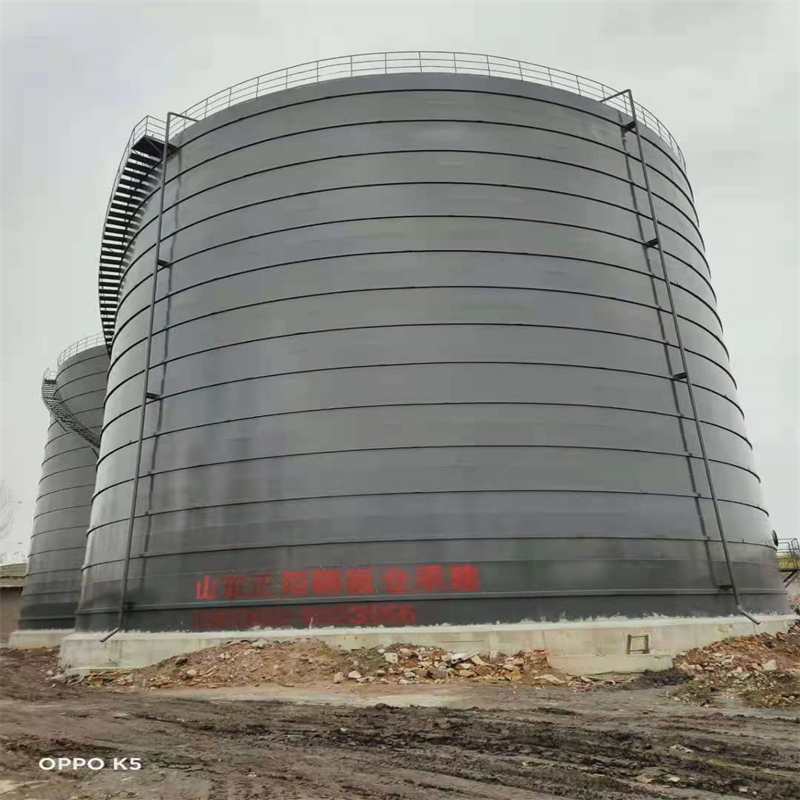 庄河3万吨大型钢板库