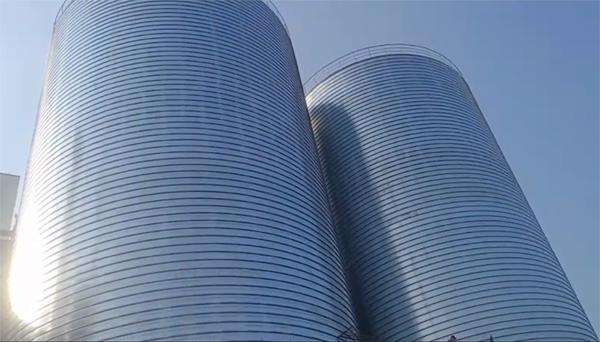 庄河2座混凝土高架卷板仓